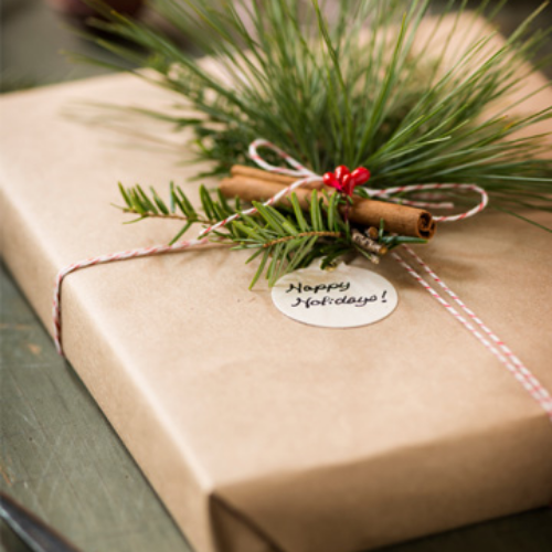 GIVE the gift of beauty this holiday season & GET a $10 skin treatment credit for yourself